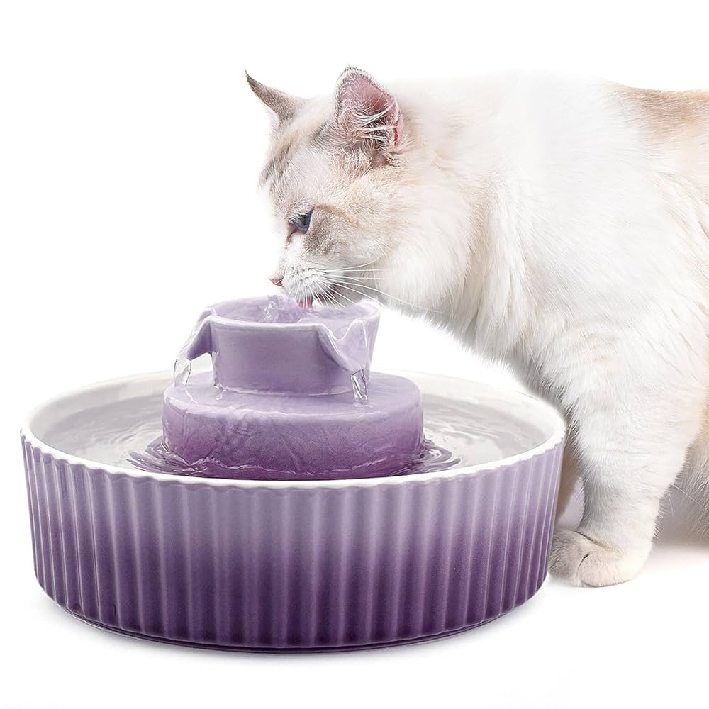 An application scenario or product detail of filtered water bowl for cats - Image 8