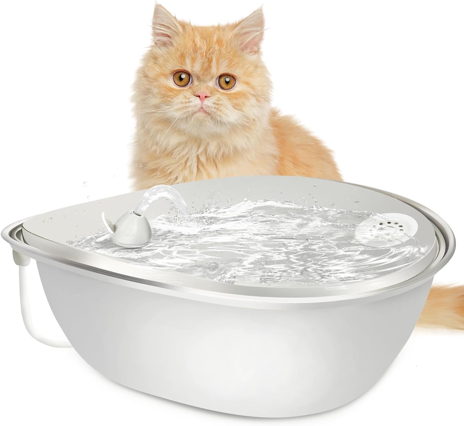 An application scenario or product detail of filtered water bowl for cats - Image 11