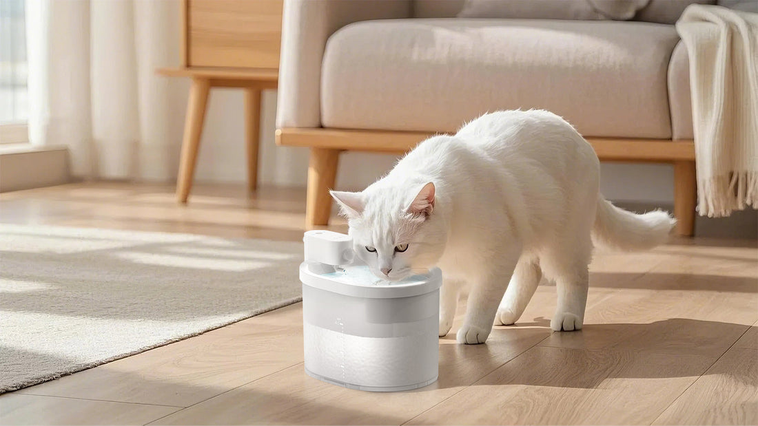 An application scenario or product detail of fofnon pet water fountain - Image 5