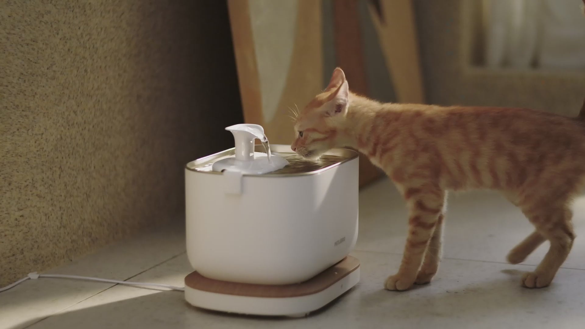 An application scenario or product detail of fofnon pet water fountain - Image 16