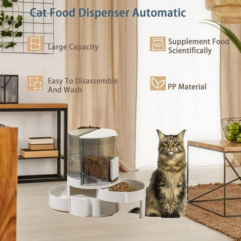 An application scenario or product detail of food and water dispenser for cats - Image 14