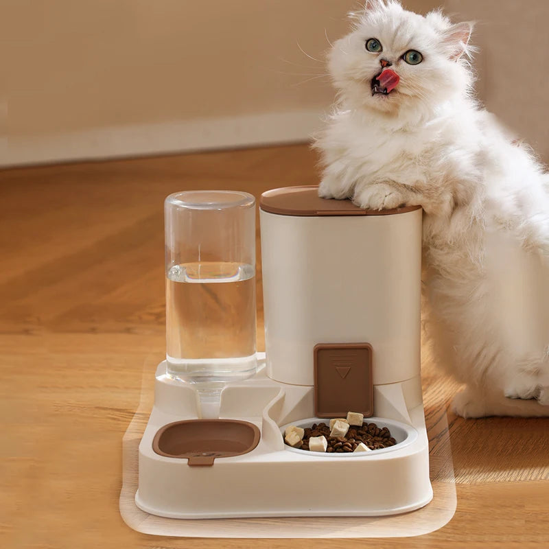 An application scenario or product detail of food and water dispenser for cats - Image 17