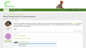 Rabbit Rehome - Essential Hay Types