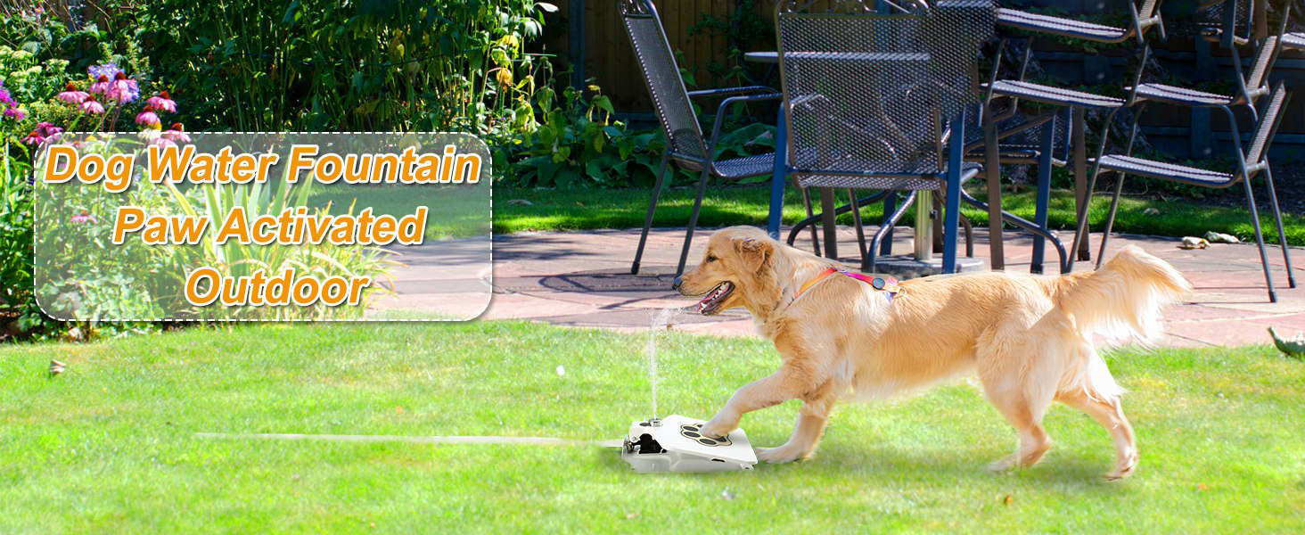 An application scenario or product detail of fountain dog water bowl - Image 7