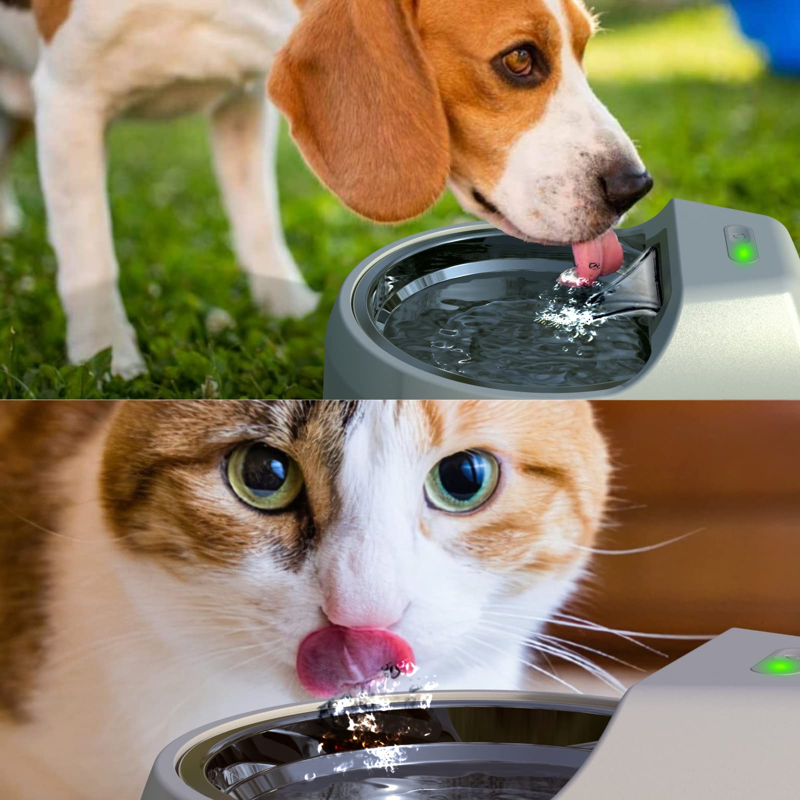 An application scenario or product detail of fountain dog water bowl - Image 16