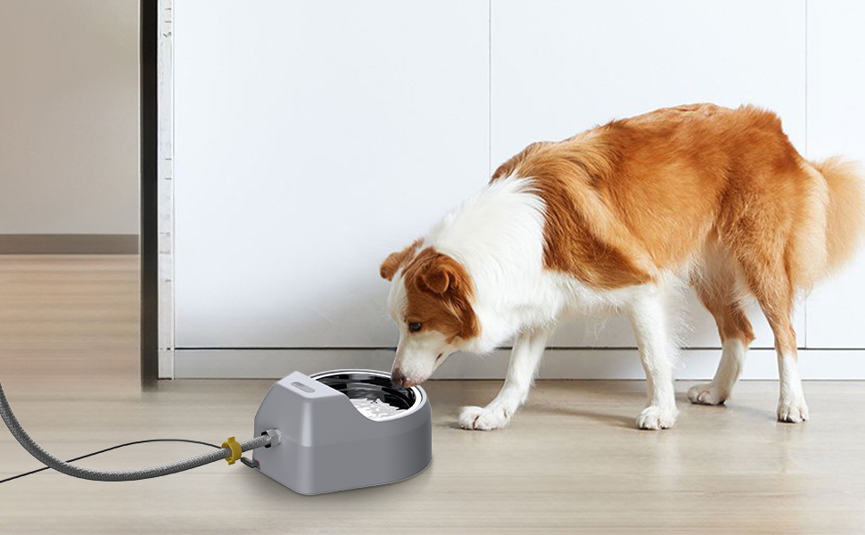 An application scenario or product detail of fountain dog water bowl - Image 20