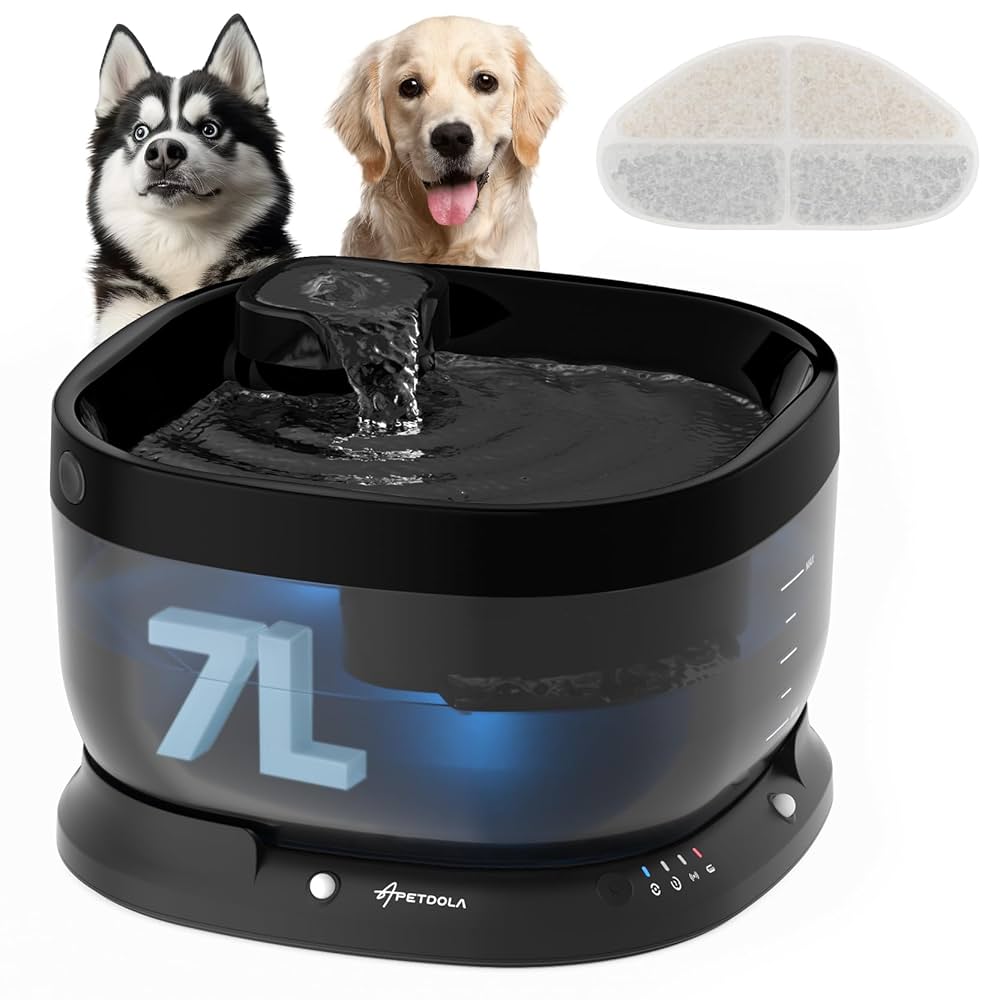 Featured image for the fountain dog water bowl guide