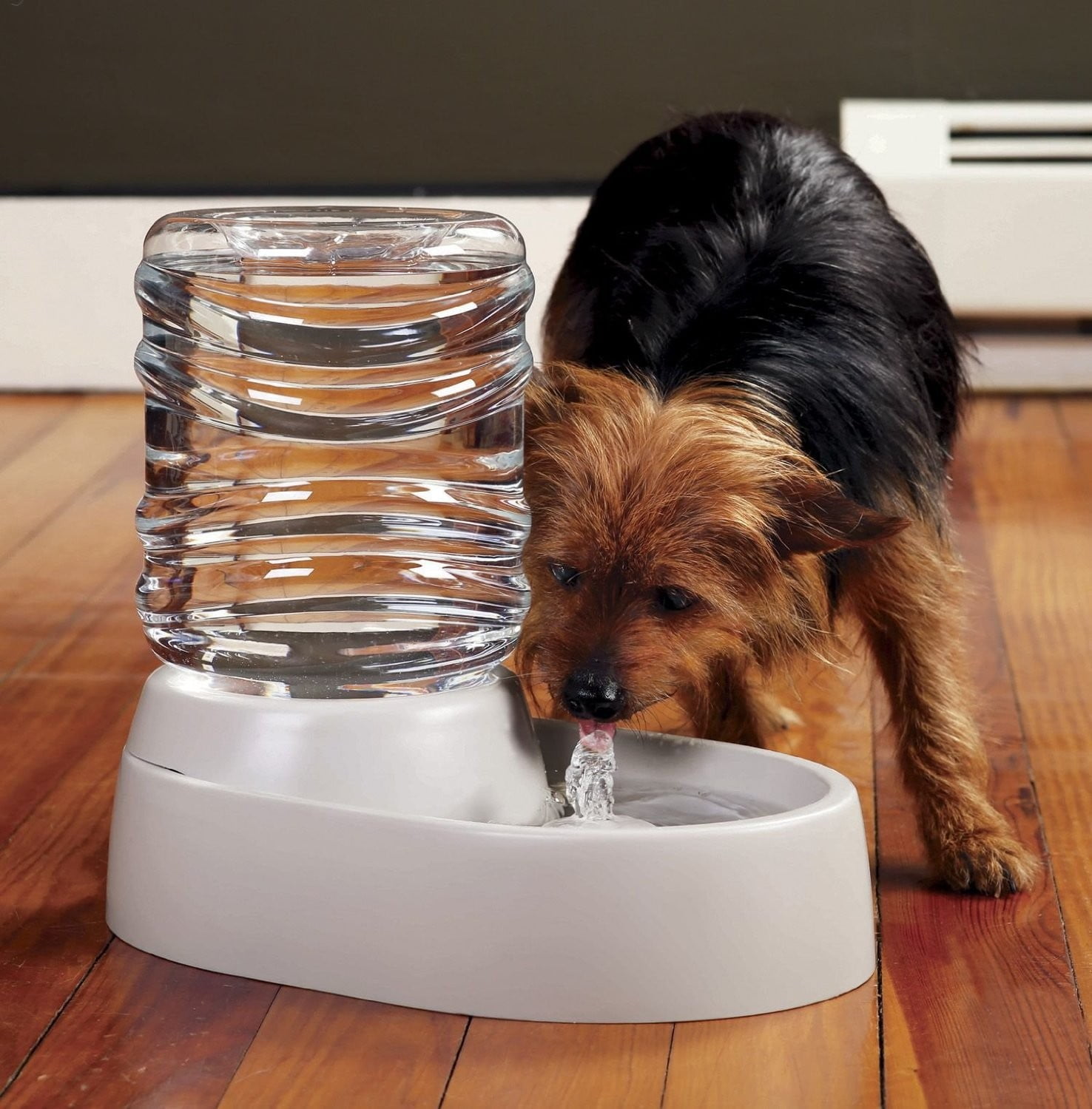 An application scenario or product detail of fountain pet water bowl - Image 9