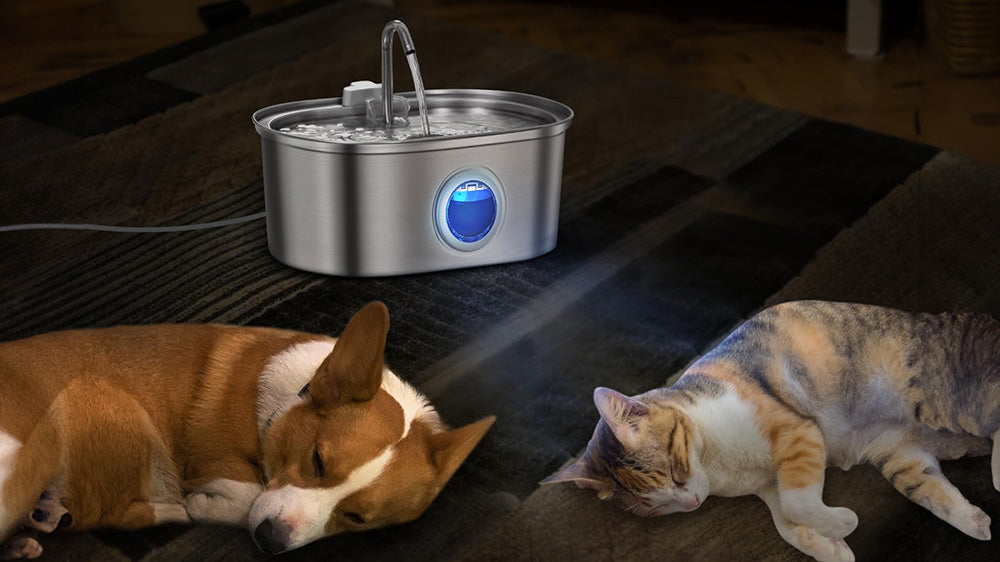 An application scenario or product detail of fountain pet water bowl - Image 24