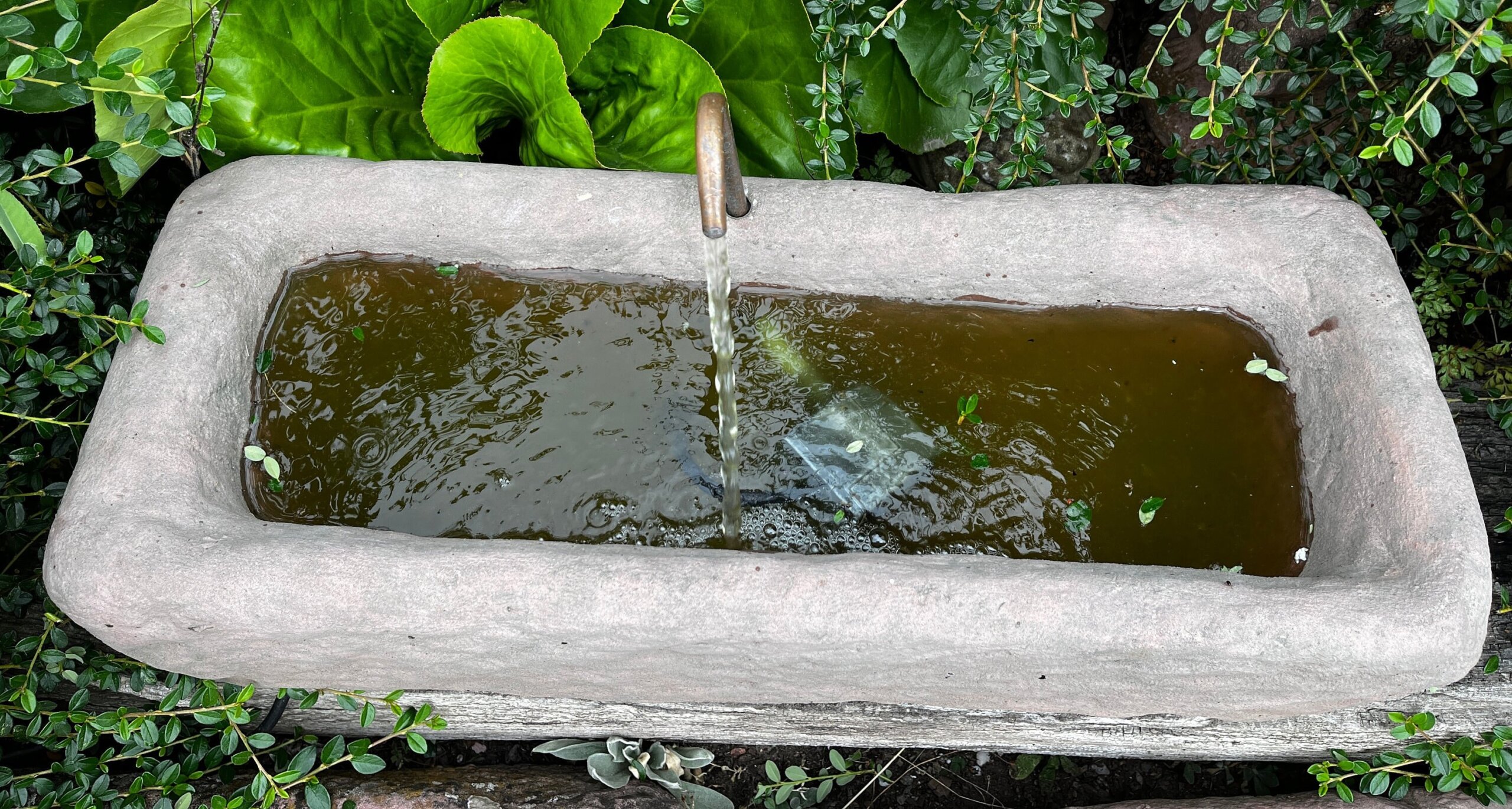 An application scenario or product detail of fountain water trough - Image 4