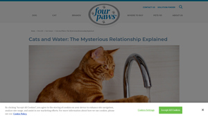 Four Paws - Cat Water Fountains