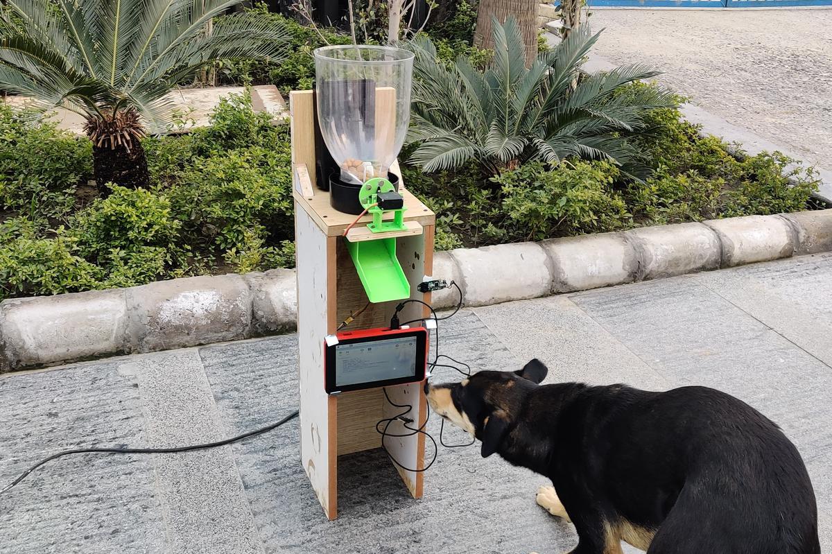 An application scenario or product detail of free feeder dog - Image 2