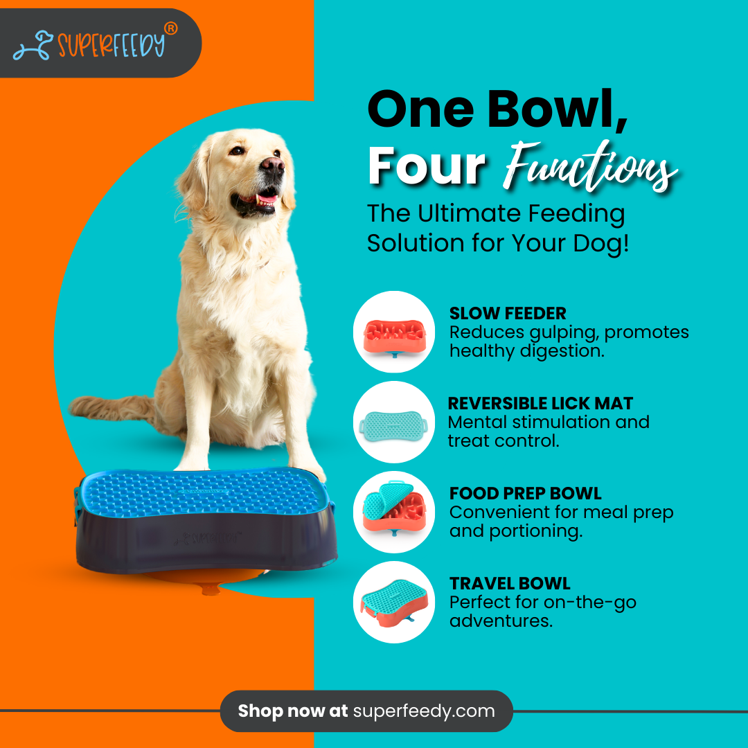 An application scenario or product detail of free feeder dog - Image 8