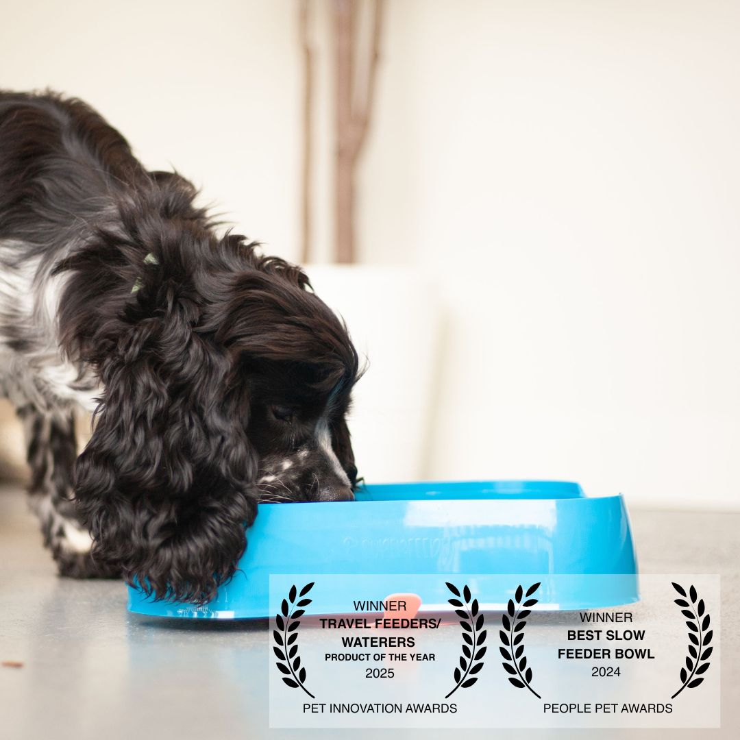 An application scenario or product detail of free feeder dog - Image 10