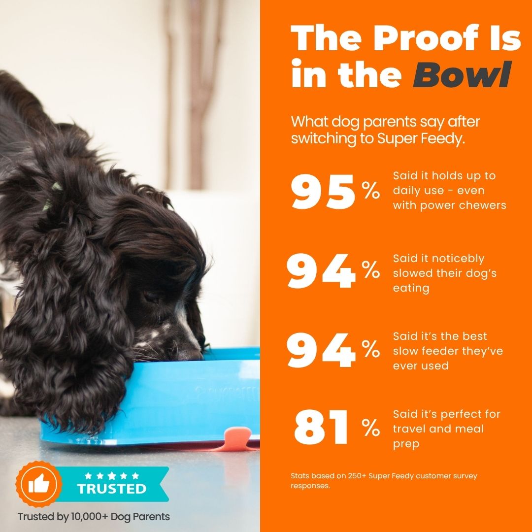 An application scenario or product detail of free feeder dog - Image 18