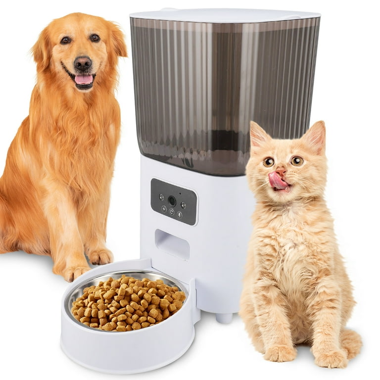 An application scenario or product detail of free feeder dog - Image 20
