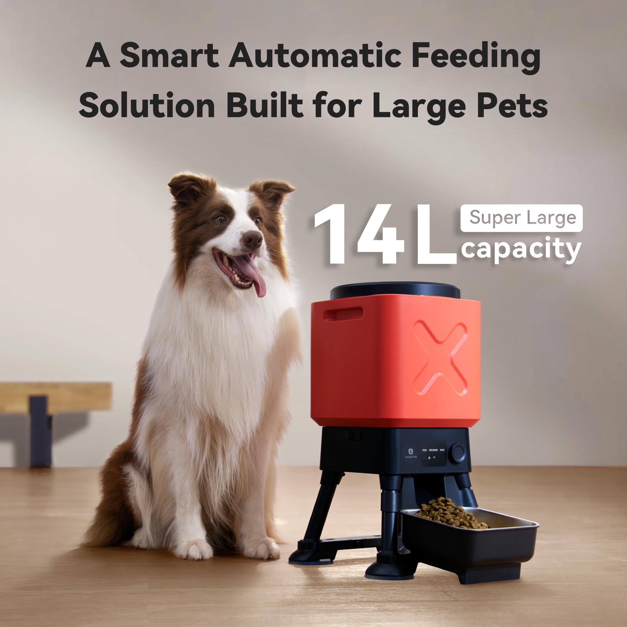 An application scenario or product detail of free feeder dog - Image 24