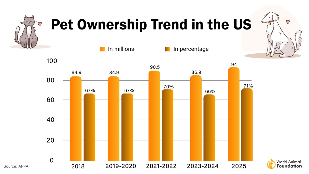 An application scenario or product detail of global dog population estimate 2024 - Image 17