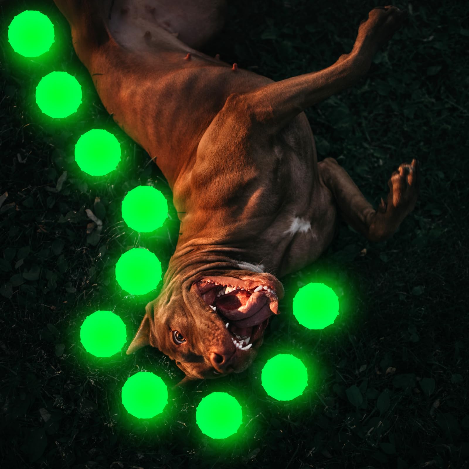An application scenario or product detail of glow in the dark dog ball - Image 2