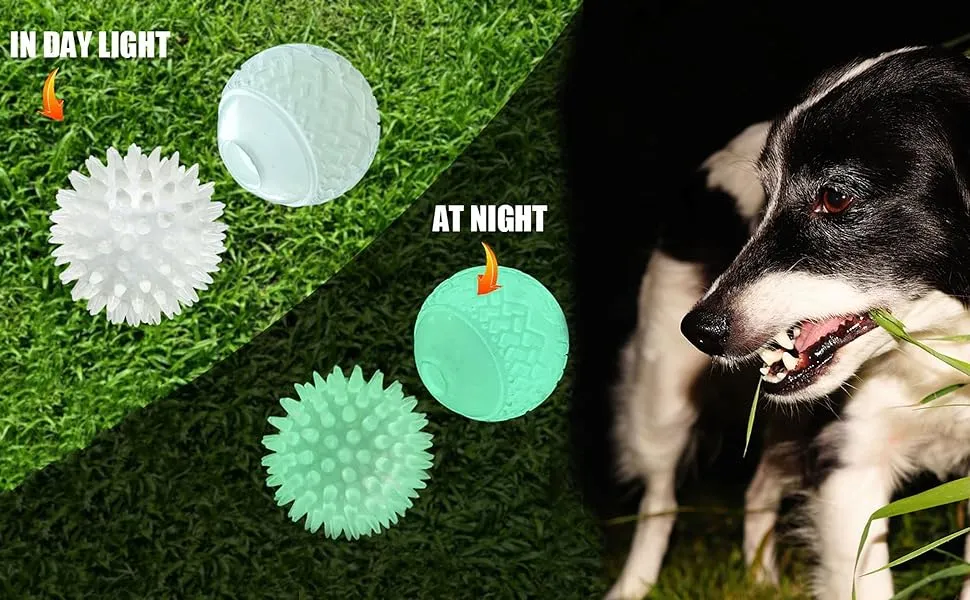 An application scenario or product detail of glow in the dark dog ball - Image 21