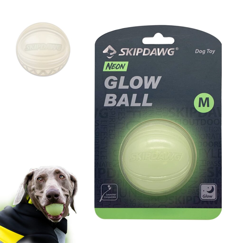 Featured image for the glow in the dark dog ball guide