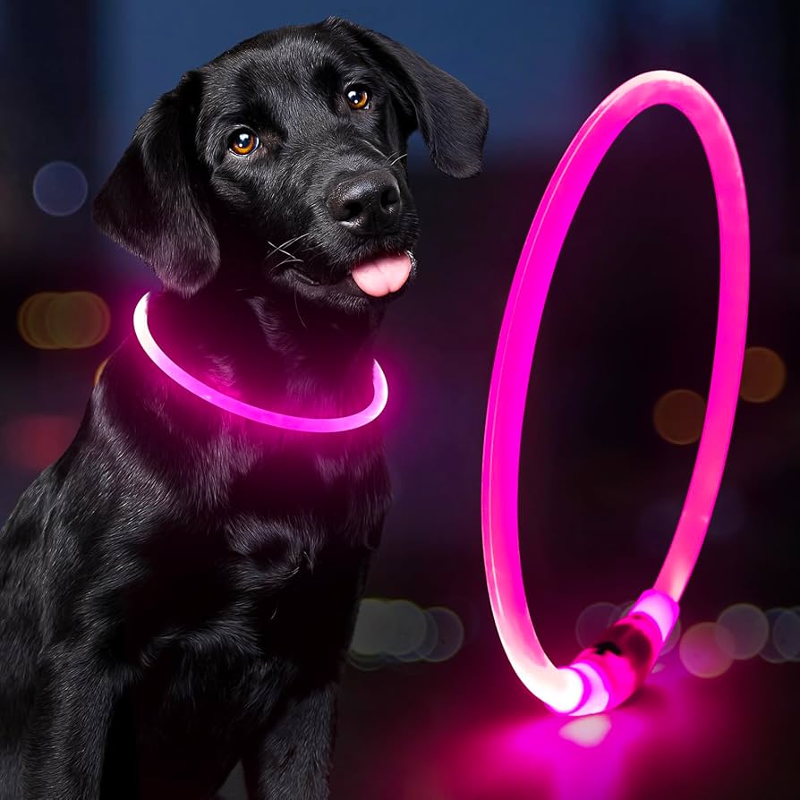 An application scenario or product detail of glow in the dark dog collar - Image 1