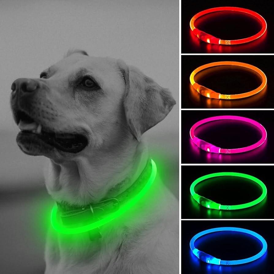 An application scenario or product detail of glow in the dark dog collar - Image 3