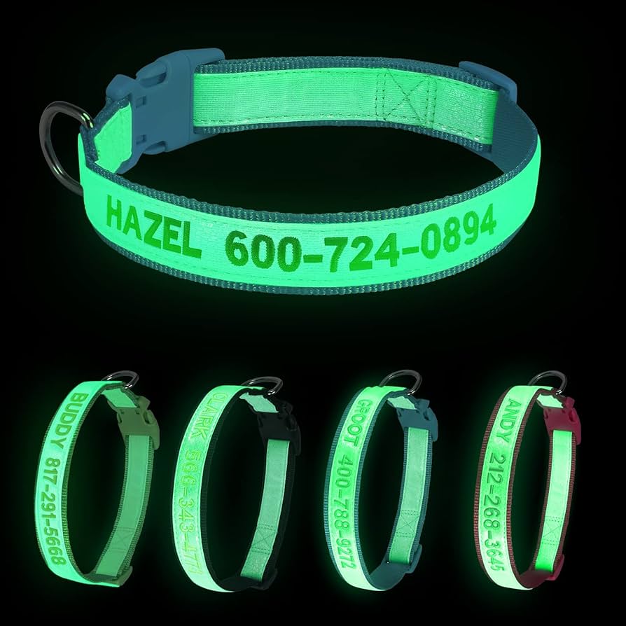 An application scenario or product detail of glow in the dark dog collar - Image 4