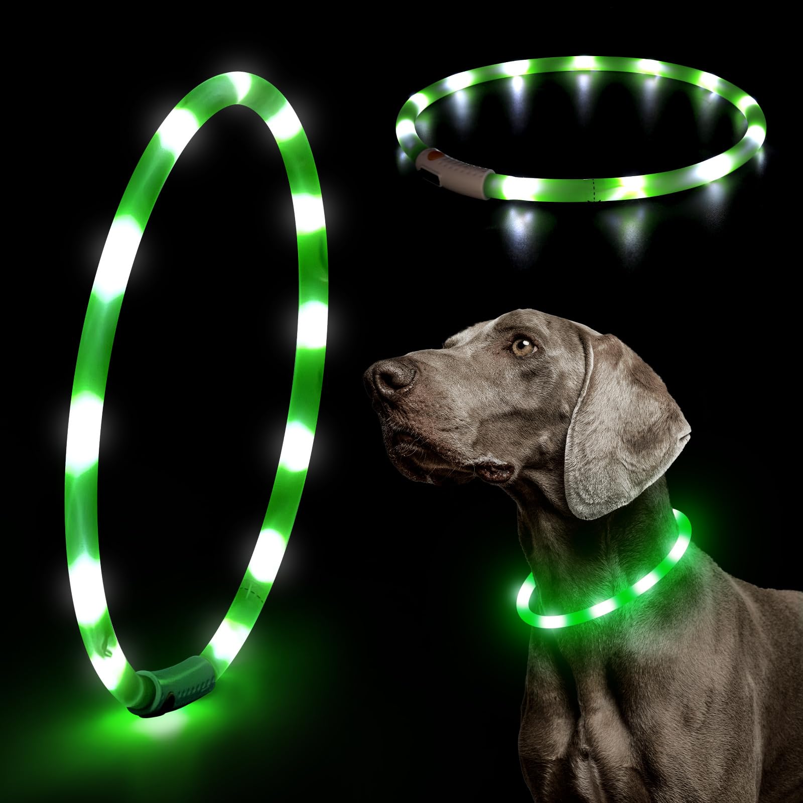 An application scenario or product detail of glow in the dark dog collar - Image 5