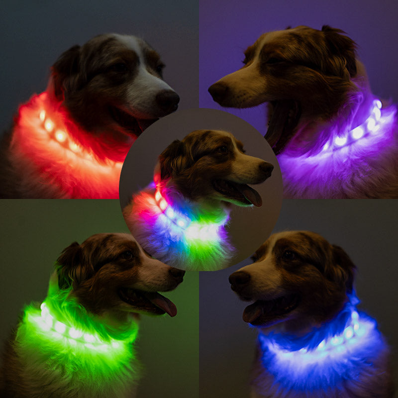 An application scenario or product detail of glow in the dark dog collar - Image 6