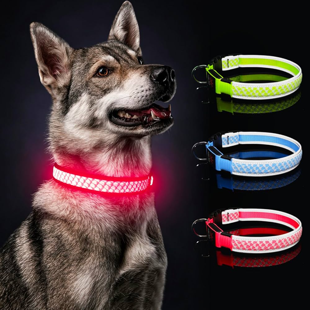 An application scenario or product detail of glow in the dark dog collar - Image 12