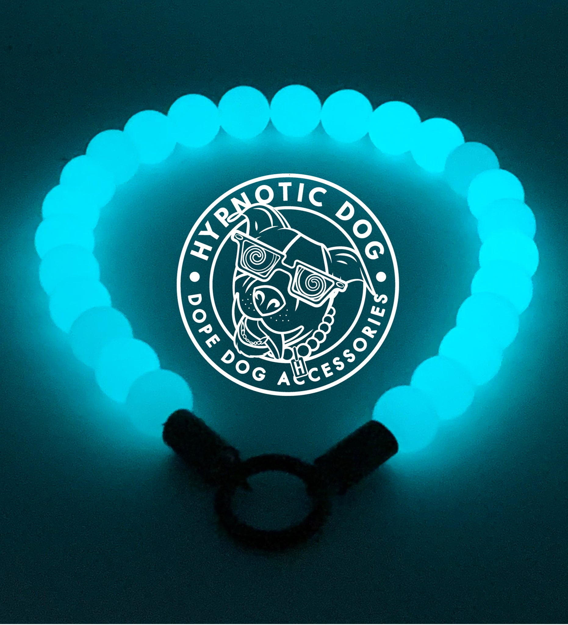 An application scenario or product detail of glow in the dark dog collar - Image 13