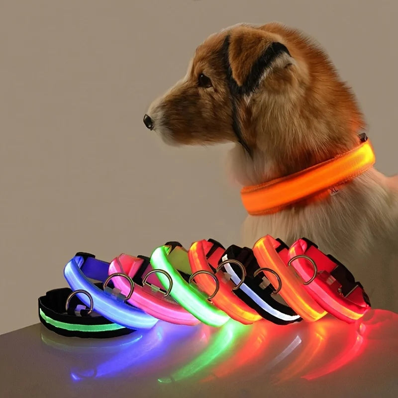 An application scenario or product detail of glow in the dark dog collar - Image 14