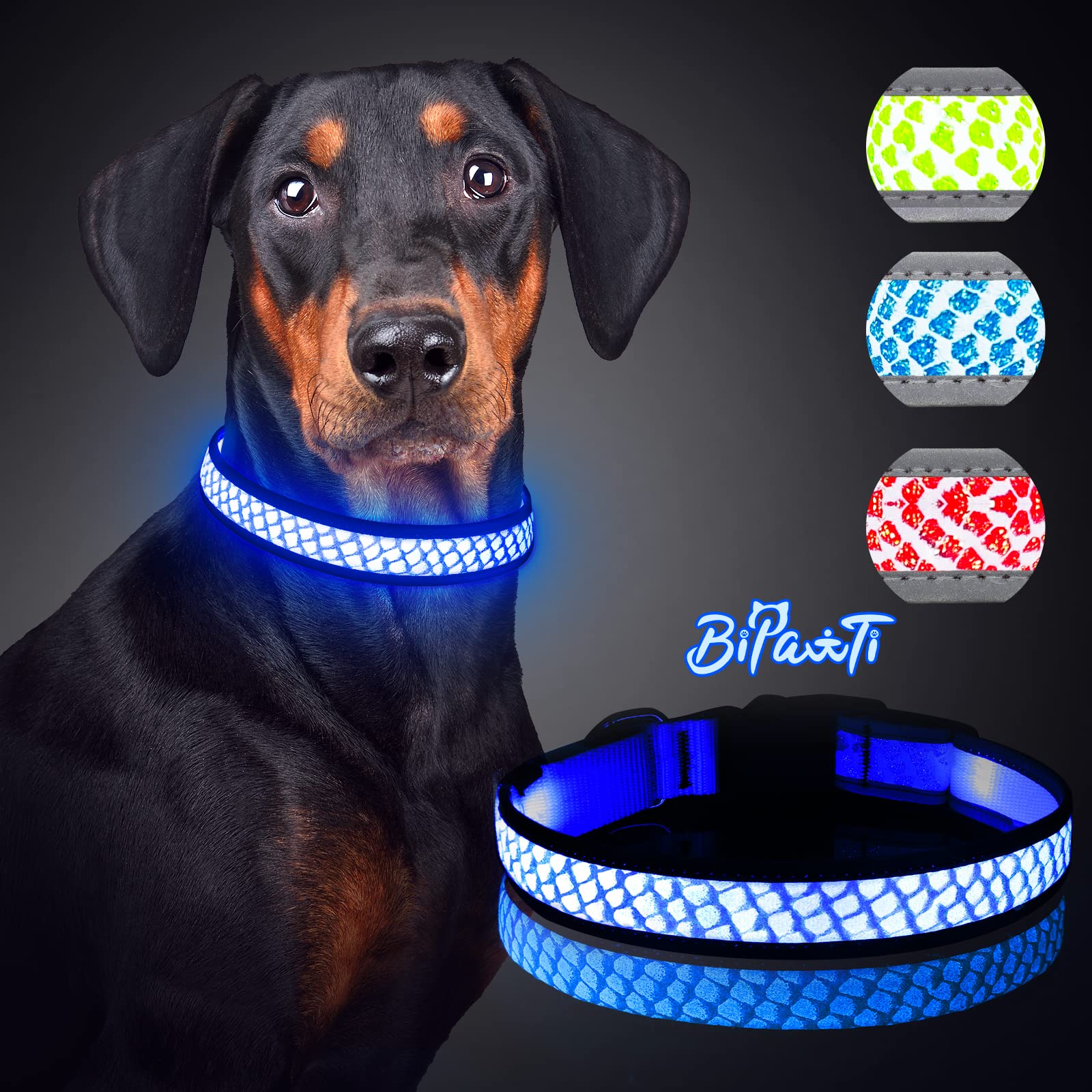 An application scenario or product detail of glow in the dark dog collar - Image 17