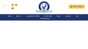 Golden Doodles - Biofilm Health Solutions