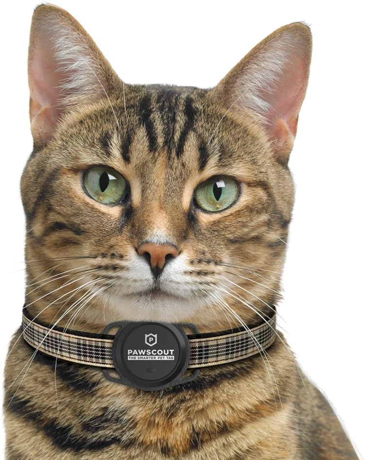 An application scenario or product detail of gps cat tracker chip - Image 12