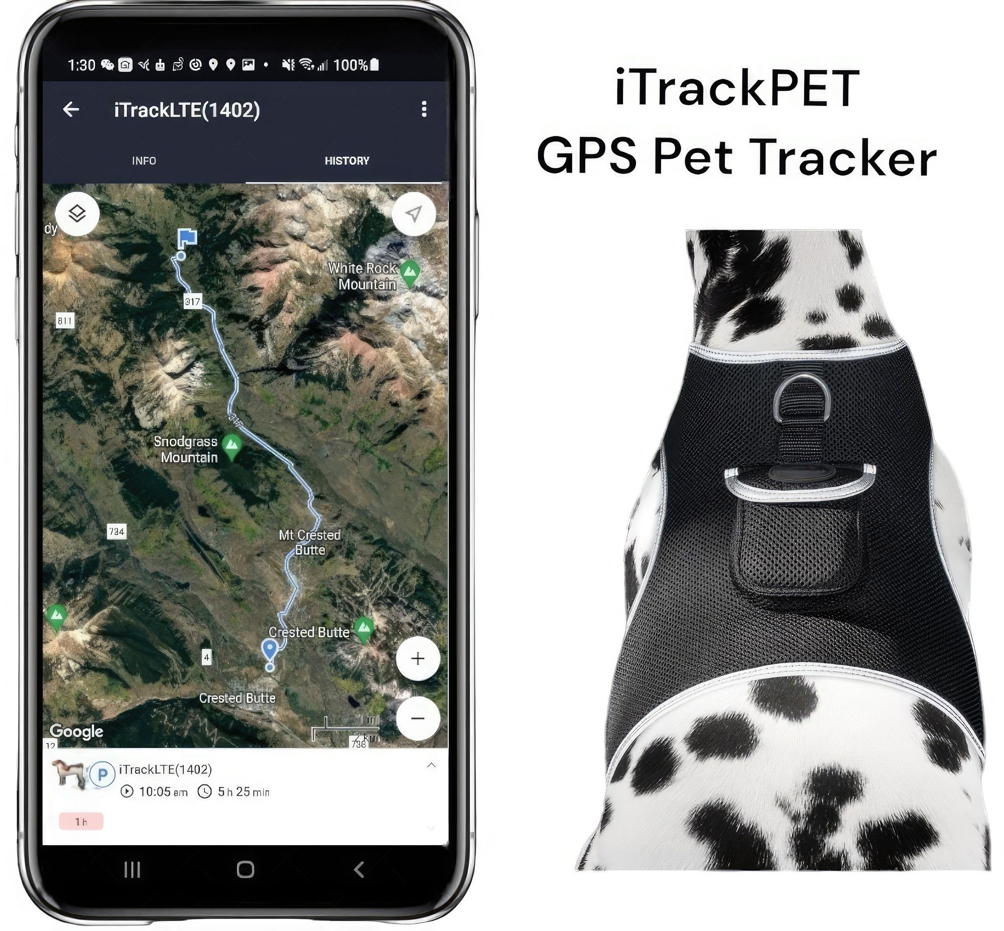 An application scenario or product detail of gps tracking chips for dogs - Image 3