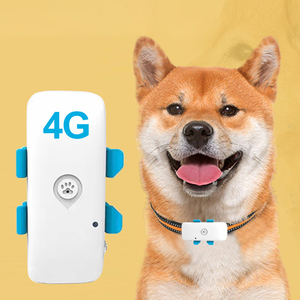 An application scenario or product detail of gps tracking chips for dogs - Image 9