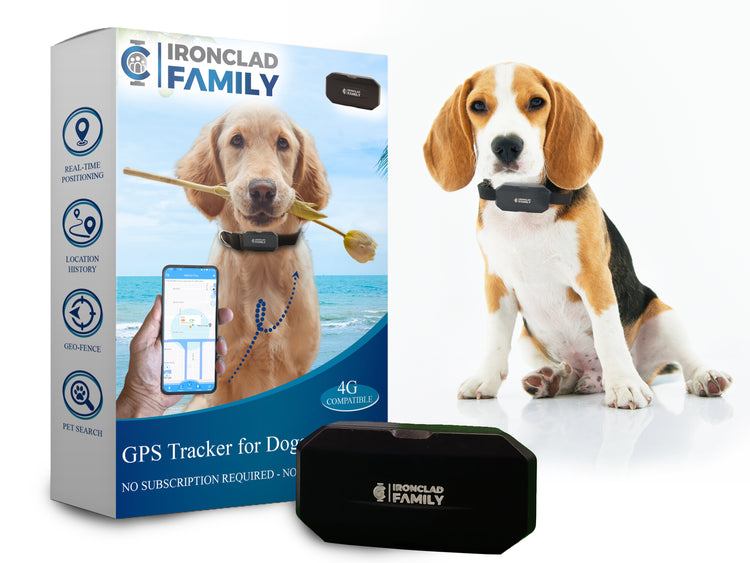 An application scenario or product detail of gps tracking chips for dogs - Image 16