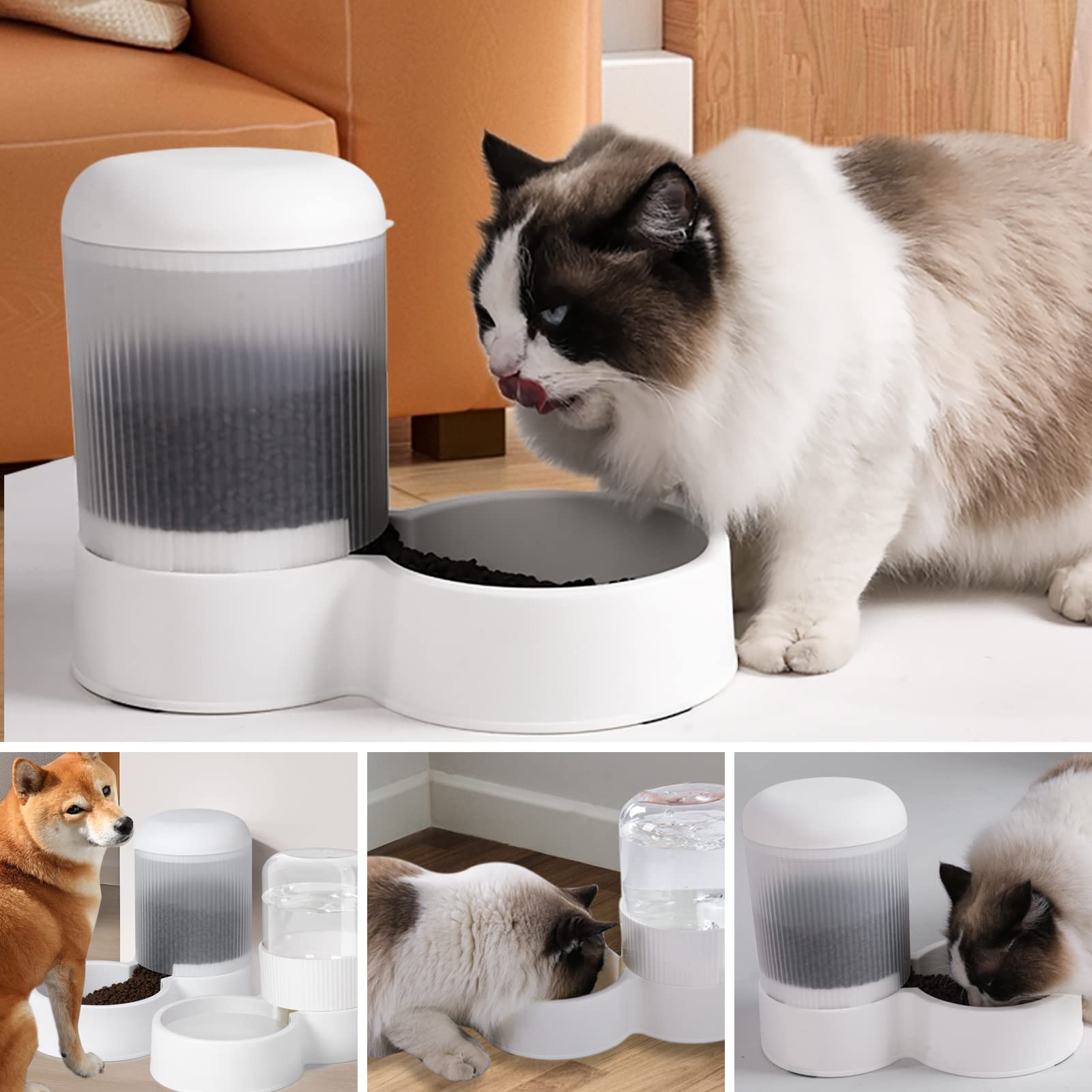 An application scenario or product detail of gravity feeder for cats - Image 15