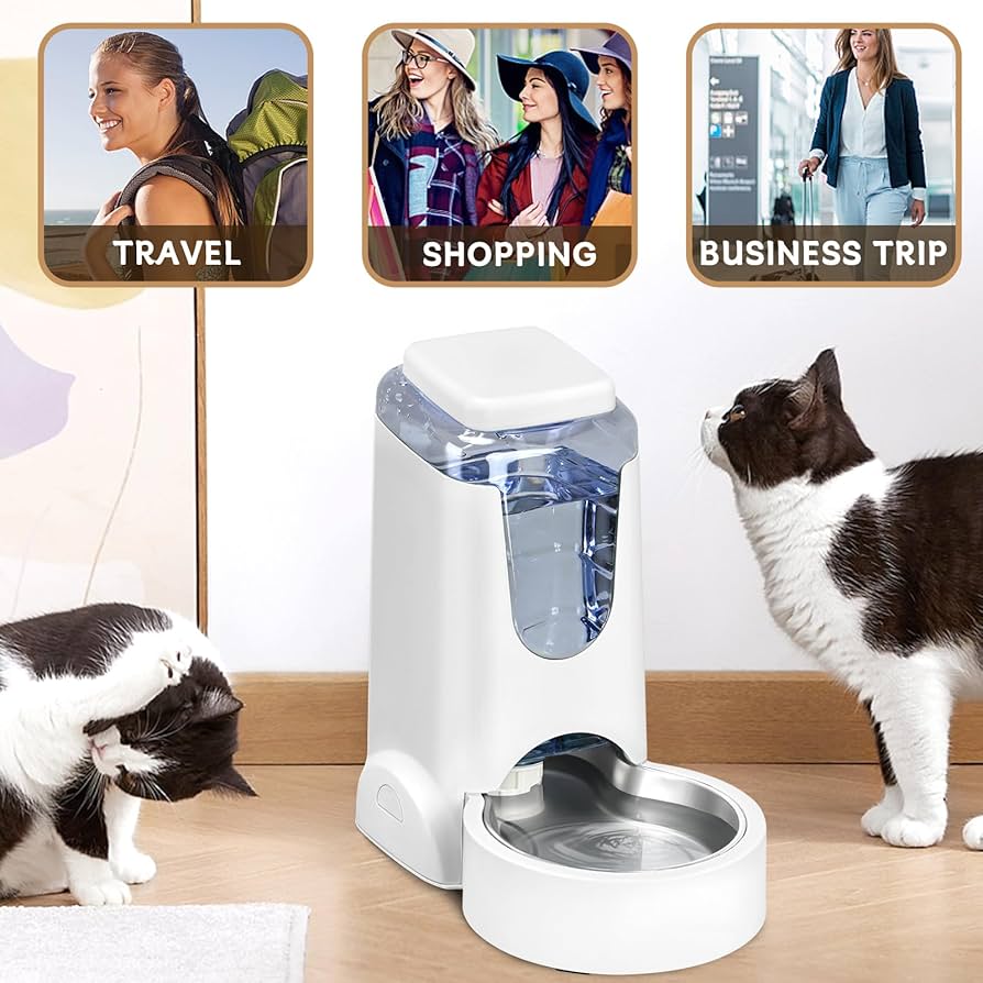 An application scenario or product detail of gravity feeder for cats - Image 20