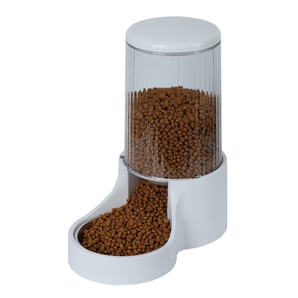 Featured image for the gravity feeder for cats guide