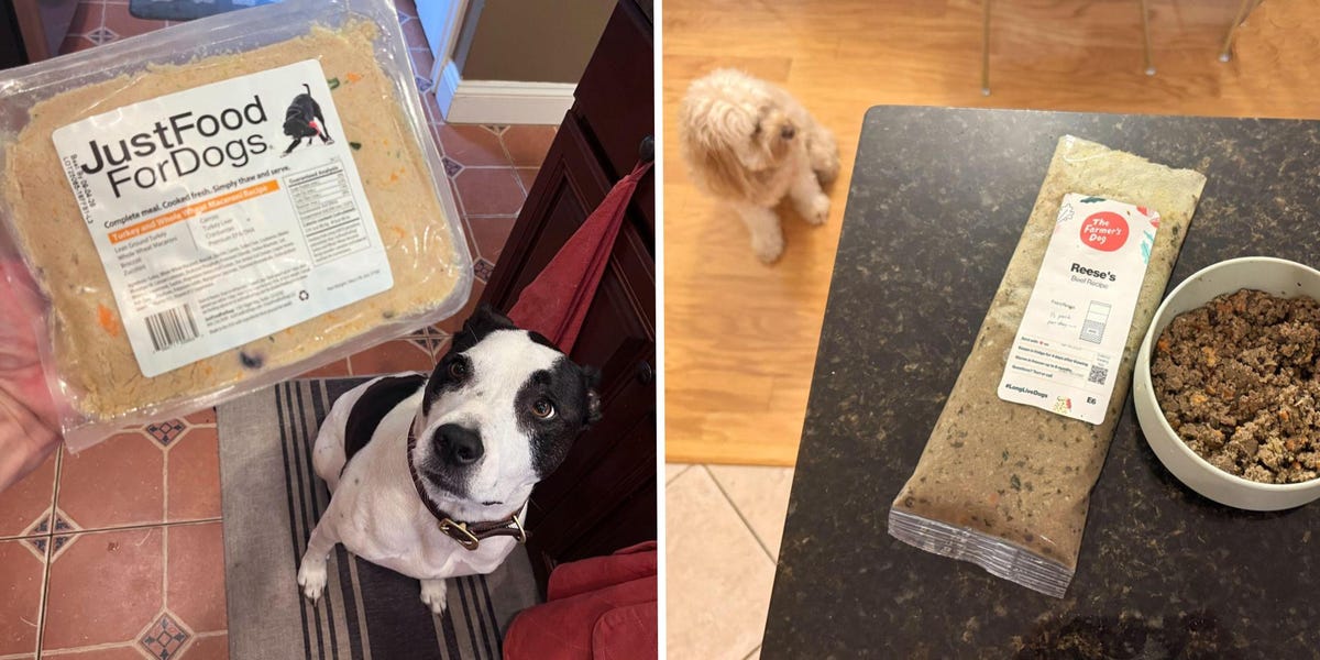 An application scenario or product detail of great choice pet food dispenser - Image 8