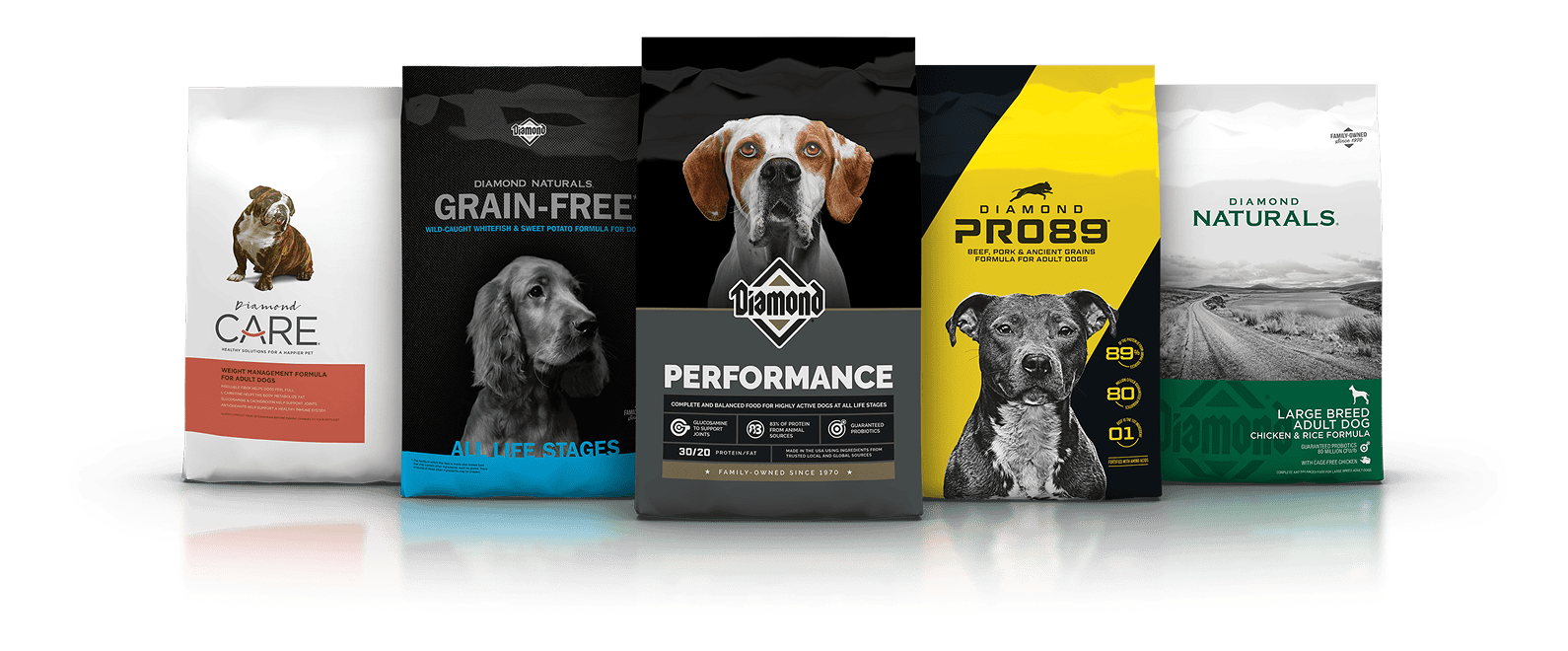 An application scenario or product detail of great choice pet food dispenser - Image 16