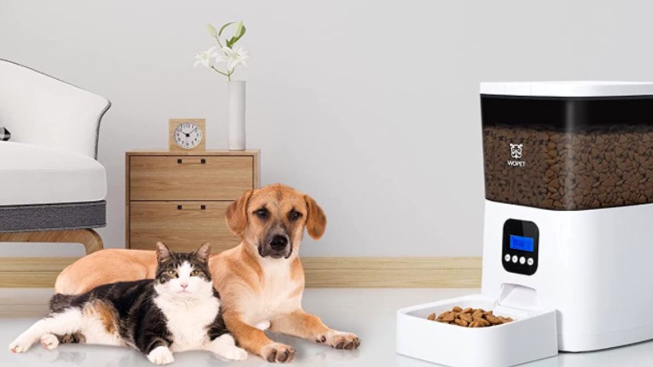 An application scenario or product detail of great choice pet food dispenser - Image 17