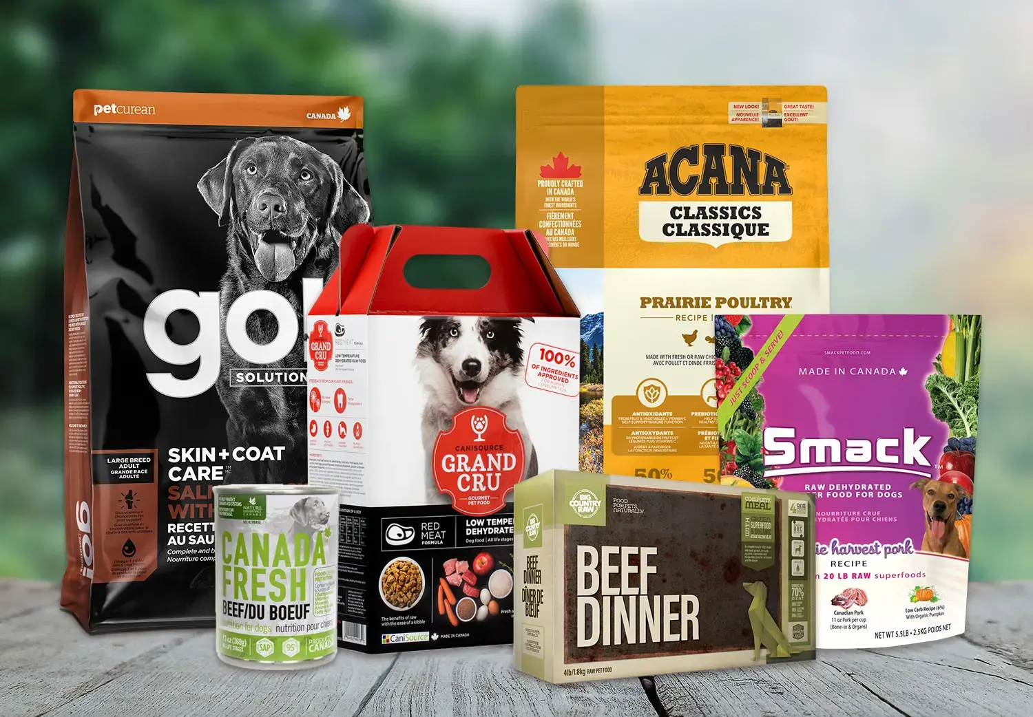 An application scenario or product detail of great choice pet food dispenser - Image 19