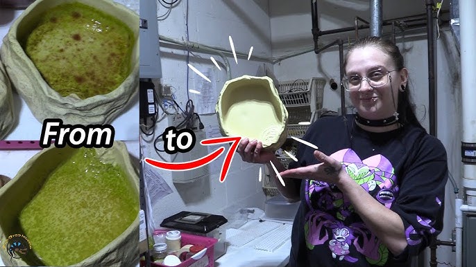 An application scenario or product detail of green algae in dog water bowl - Image 5