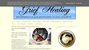 Grief Healing - Coping with Loss