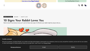 GuineaDad - Rabbit Care Essentials