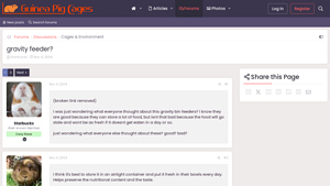 Guinea Pig Cages - Gravity Feeders